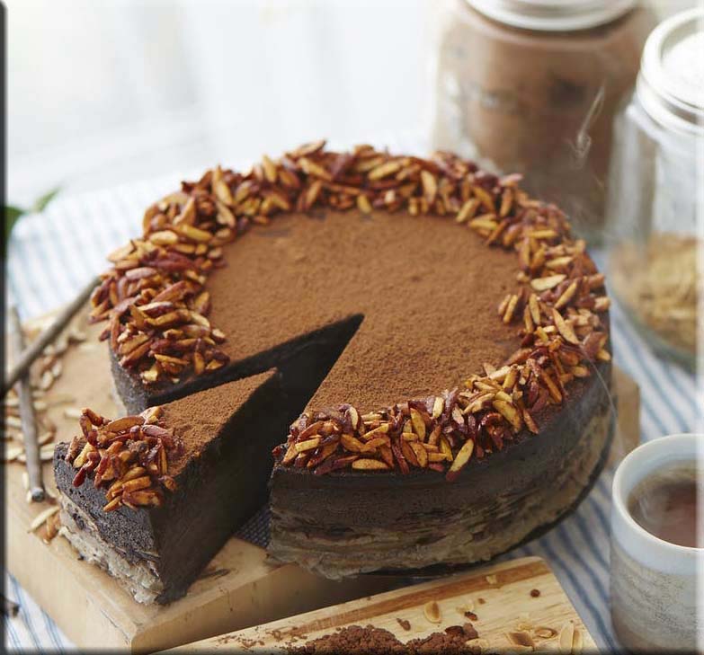 Low Carb Chocolate cheez cake