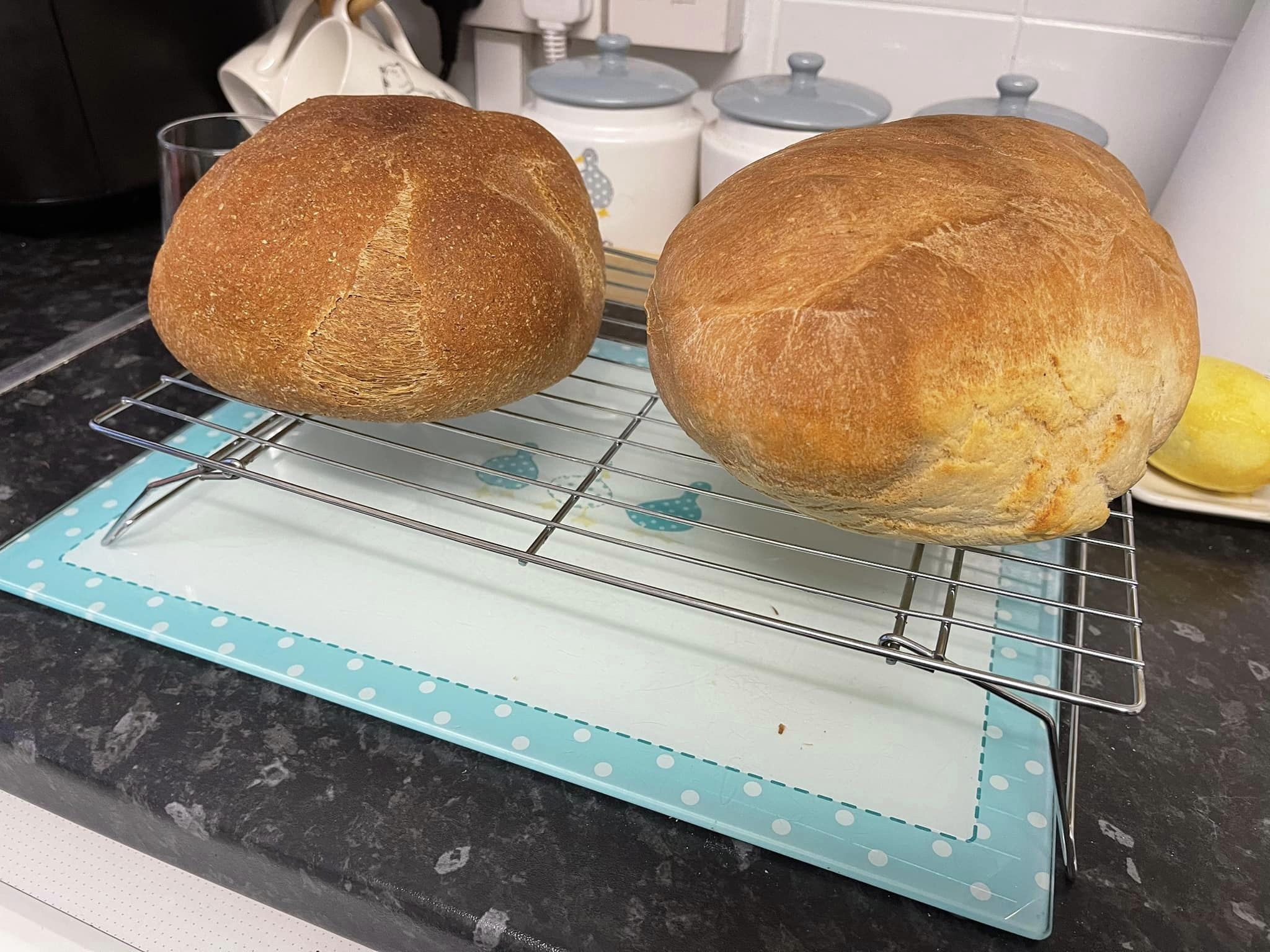 Air Fryer Homemade Bread Rolls