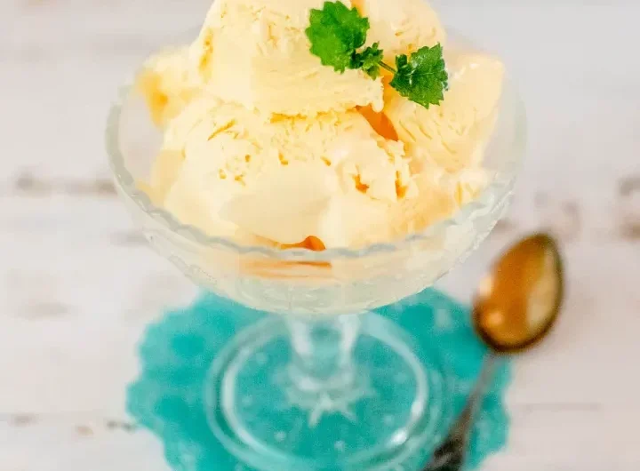 Simple Carnivore Ice Cream Recipe