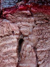 Juicy Smoked Chuck Roast