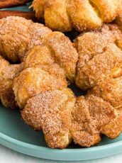 Air Fryer Fried Apple Rings