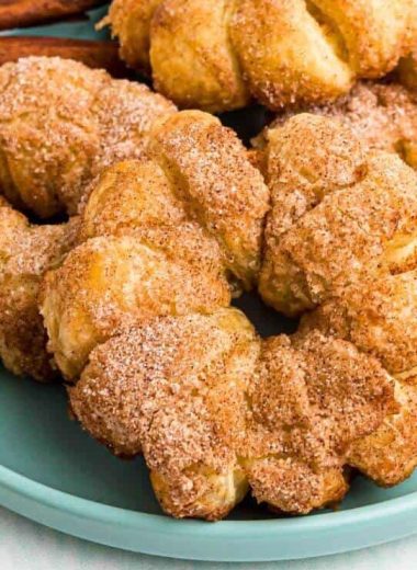 Air Fryer Fried Apple Rings