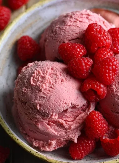 Thermomix Raspberry Ice Cream